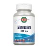 Magnesium One Daily 500mg - 60 tabs фото1