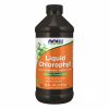 Chlorophyll Liquid Mint - 16 oz фото1