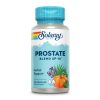 Prostate Blend SP-16 - 100 vcaps фото1