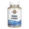 Stress B Complex - 100 tabs фото1