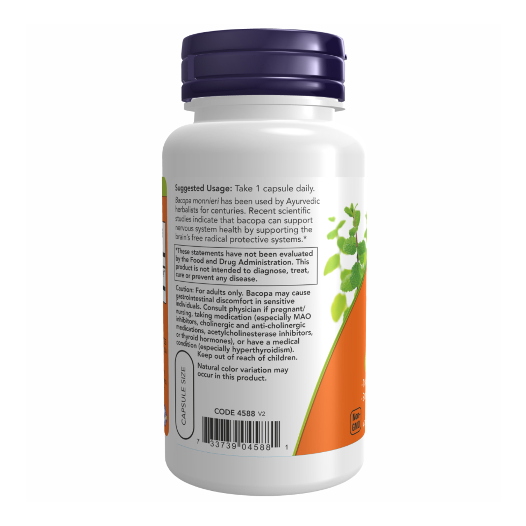 Bacopa Extract 450 mg - 90 vcaps фото3