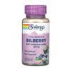 Bilberry Berry Extract 42mg - 60 vcaps фото1