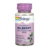 Bilberry Berry Extract 60mg - 60 vcaps фото1