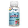 Cool Cayenne Pepper 40,000 HU 600mg - 90 vcaps фото1