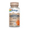 Cordyceps Mushroom Extract 500mg - 60 vcaps фото1