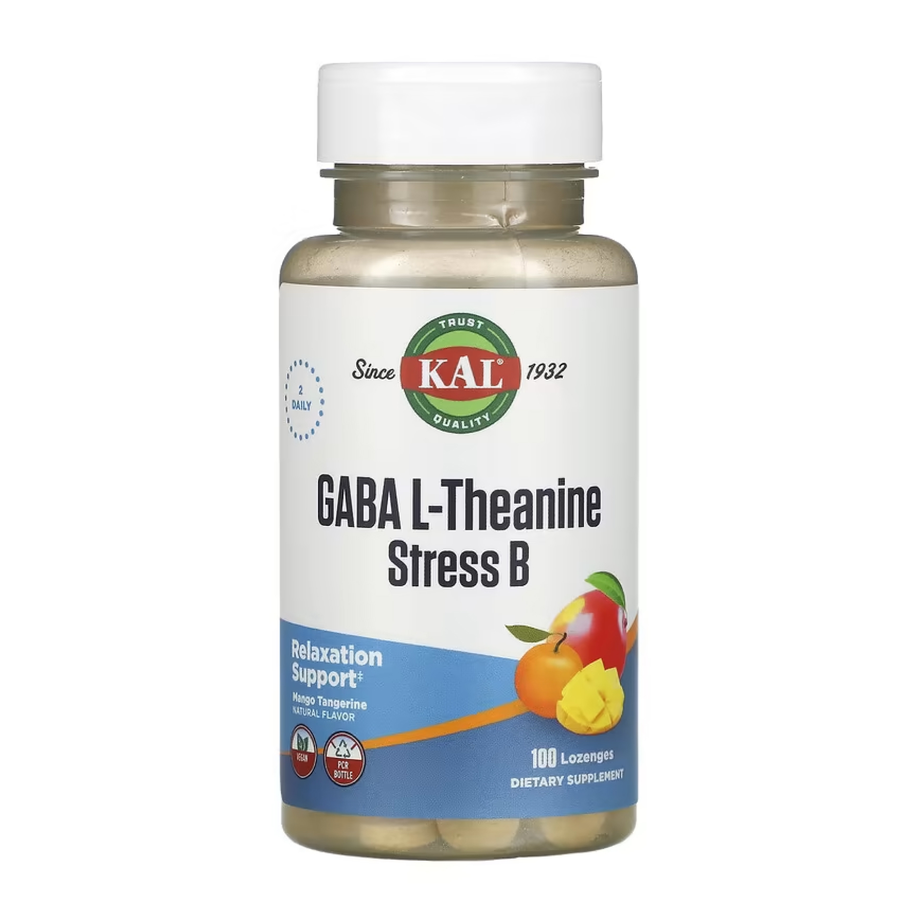 GABA L-Theanine Stress B - 100 lozenges фото1