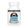 Gamma Oryzanol 60 mg - 100 tabs фото1
