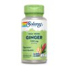 Ginger Root 1100mg (2 serv. of 550mg) - 100 vcaps фото1