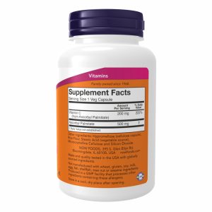 Ascorbyl Palmitate 500 mg - 100 vcaps фото2