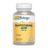 Pantothenic Acid 500mg - 100 veg caps фото1