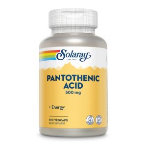 Pantothenic Acid 500mg - 100 veg caps фото1