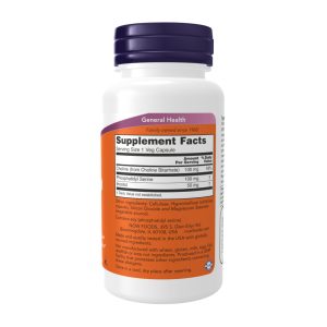 Phosphatidyl Serine 100mg - 60 vcaps фото2