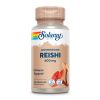 Reishi Mushroom 600mg - 100ct фото1