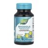 Rhodiola Rosea - 60 vcaps фото1