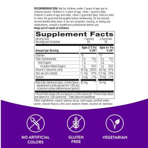 Sambucus Kids Immune Support - 60 gummies фото2
