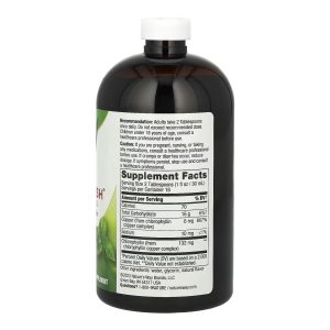 Chlorofresh® Liquid - 16 oz Mint фото2