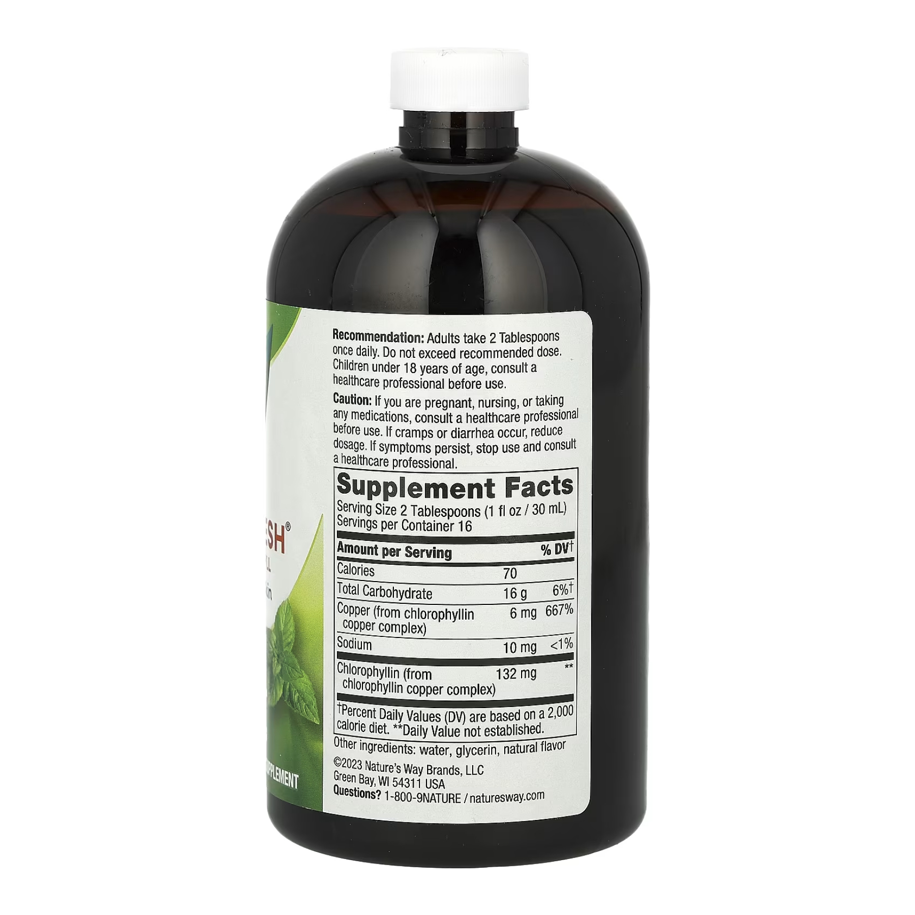 Chlorofresh® Liquid - 16 oz Mint фото2