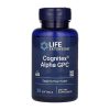 Cognitex® Alpha GPC - 30 softgels фото1