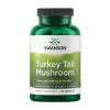 Turkey Tail Mushroom 500mg - 120 caps фото1