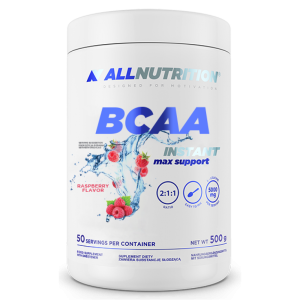 BCAA Max Support Instant - 500g Raspberry фото1
