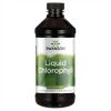 Liquid Chlorophyll 100mg - 473ml (16FL OZ) фото1