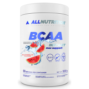 BCAA Max Support Instant - 500g Watermelon фото1